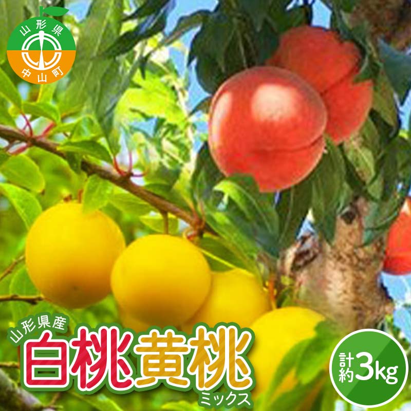 【ふるさと納税】 《2026年産 先行受付》 山形県産 白桃・黄桃 ミックス 秀品 約3kg 柔らかくなる桃 品種・玉数 おまかせ 果物 くだもの 桃 もも モモ フルーツ おすすめ F4A-0974｜山形県中山町 10,780円