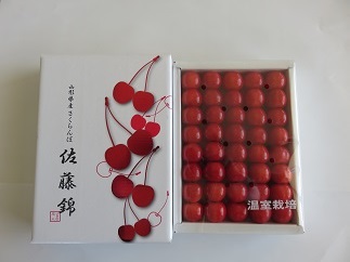 ふるさと納税 さくらんぼ フルーツ 果物 ５月中旬発送予定 年山形県河北町産ハウスさくらんぼ 佐藤錦 300g化粧箱 山形県河北町