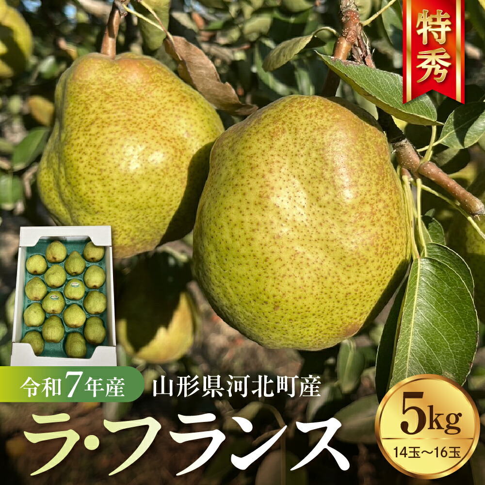 【ふるさと納税】 令和7年産 ラ・フランス 5kg (14玉～16玉) 特秀 <br><br>| 河北町産 ラフランス 洋梨 西洋梨 フルーツ 果物 くだもの 贈り物 ギフト 贈答 産地直送 山形県