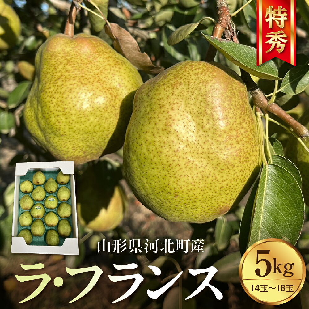 【ふるさと納税】 令和8年産 洋梨 ラ・フランス 5kg (14玉～18玉) 特秀 | ラフランス 洋梨 西洋梨 フルーツ 果物 くだもの 贈り物 ギフト 贈答 産地直送 送料無料 山形県産 山形県 河北町