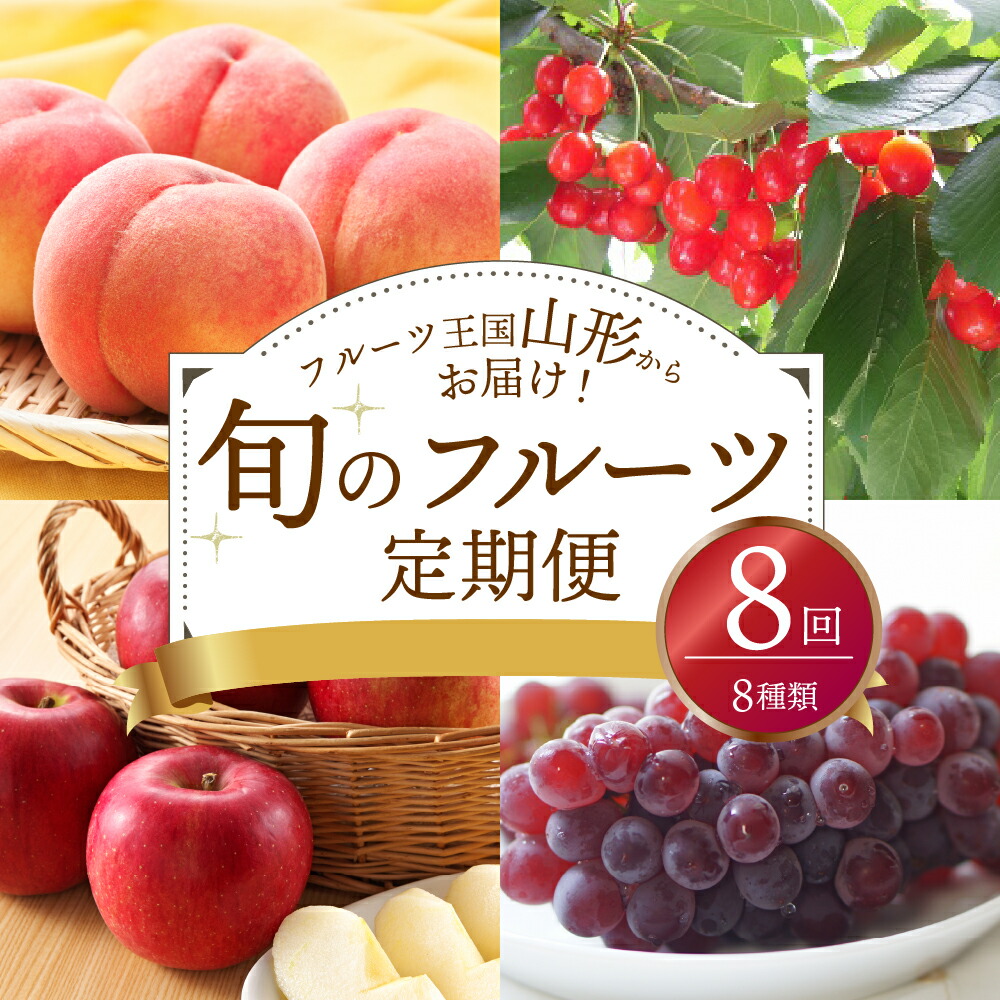 特売 さとふるふるさと納税 嬉野市 2023年1月発送開始 定期便 佐賀牛食べつくしセット全6回