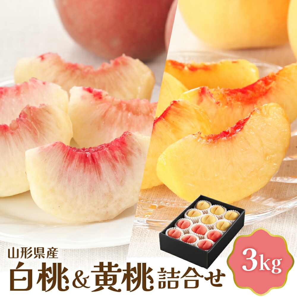 【ふるさと納税】【令和8年産】 白桃 ＆ 黄桃 詰め合わせ 3kg | フルーツ 果物 桃 詰め合わせ 食べ比べ 人気 贈答 青果 冷蔵便 産地直送 お取り寄せ グルメ 送料無料 東北 山形県 河北町 【JAさがえ西村山】｜山形県河北町 12,160円