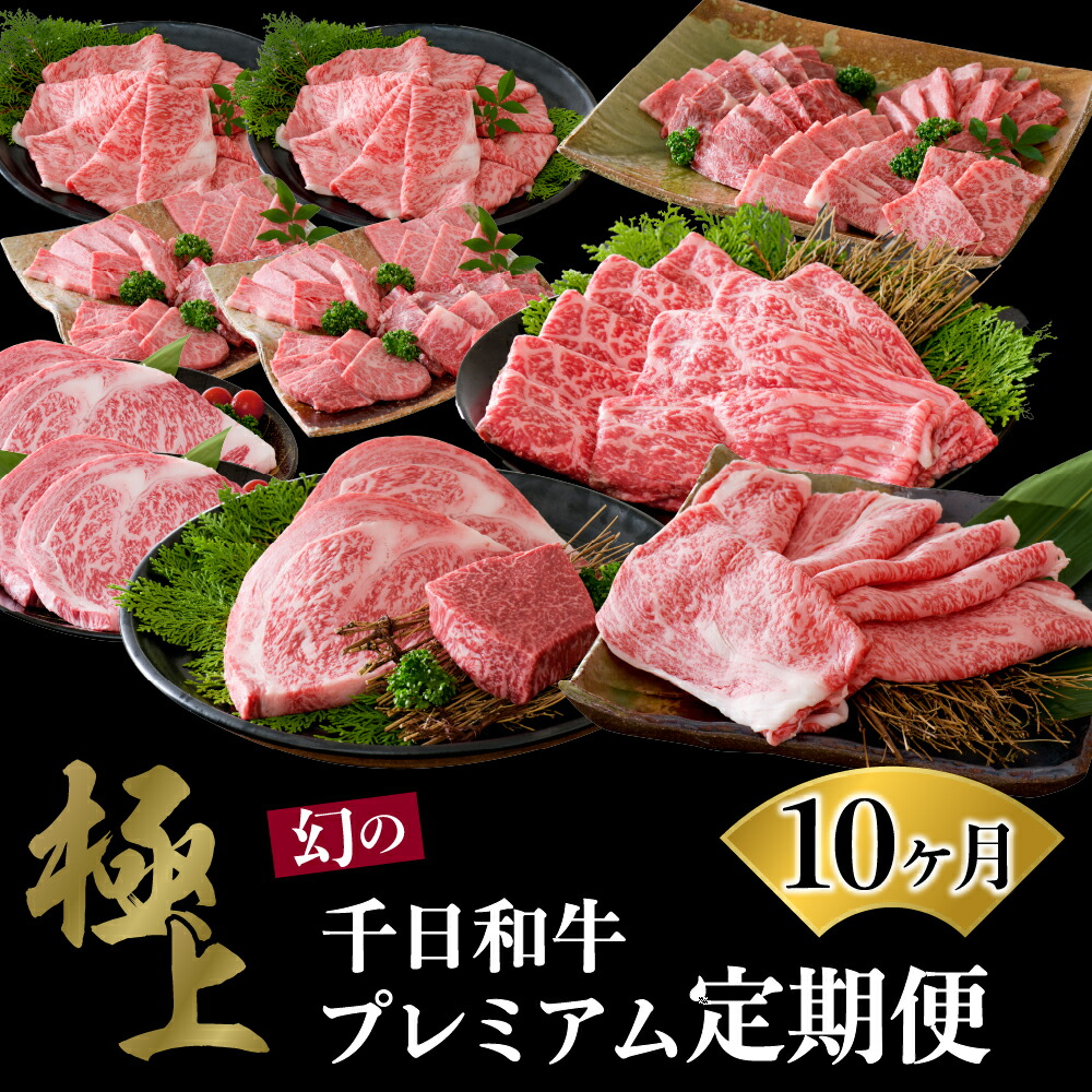 【ふるさと納税】【数量限定】山形牛 10ヶ月 肉 定期便【黒毛和牛 ブランド 和牛】 牛肉 千日和牛 国産 山形県産 特選 すき焼 焼き肉 サーロイン ステーキ 厚切りステーキ 上肩ロース 盛り合わせ お取り寄せ グルメ 冷凍 送料無料