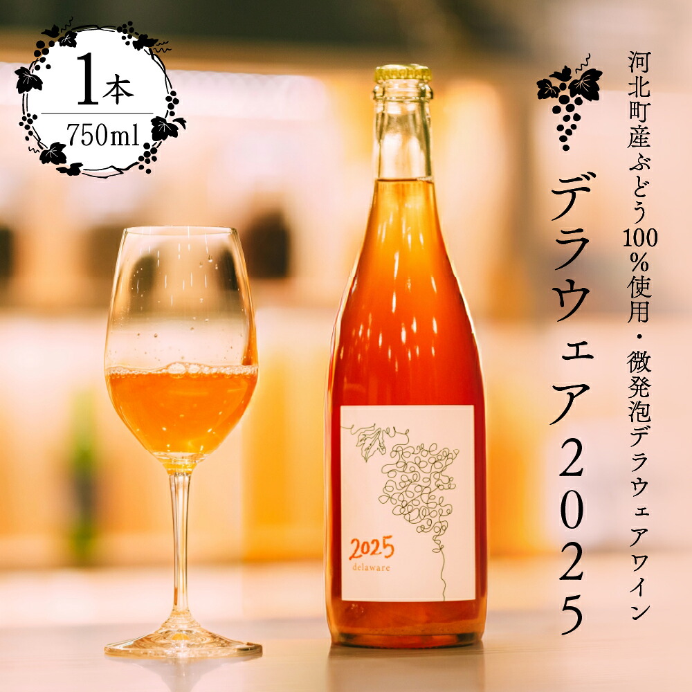 【ふるさと納税】【 河北町産 ぶどう 100％ 使用・ 微発泡 デラウェアワイン 】Delaware 2025 ( 750ml × 1本 ) 【かほくらし社】 | 限定醸造 スパークリング ペティアンナチュラルワイン お酒 アルコール 国産 送料無料 山形県 河北町