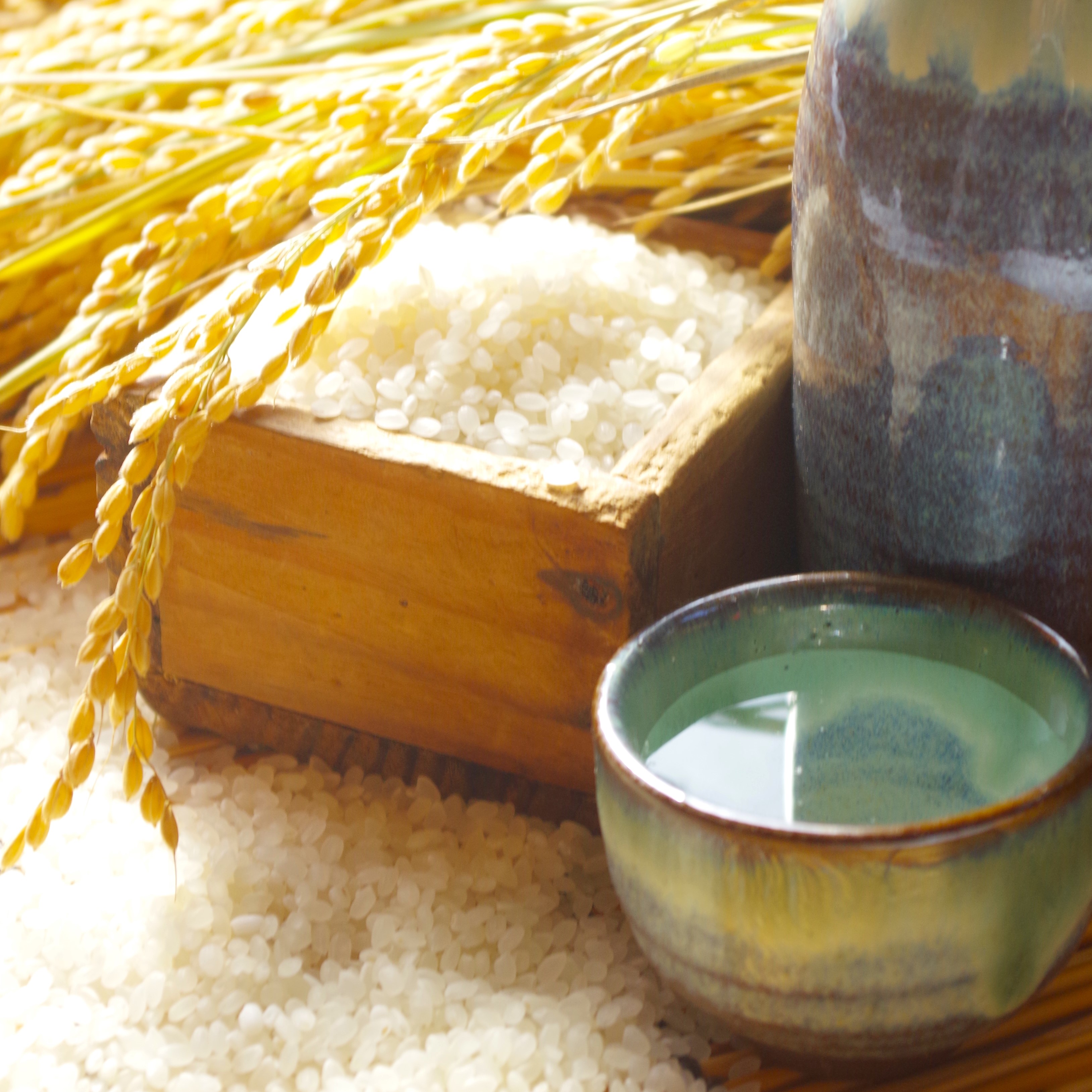 【ふるさと納税】【季節限定】あら玉特別純米原酒秋酒セット(720ml×2本)山形の地酒秋だけの限定酒2つの清流が流れる米どころ山形県河北町よりお届け改良信交・出羽の里
