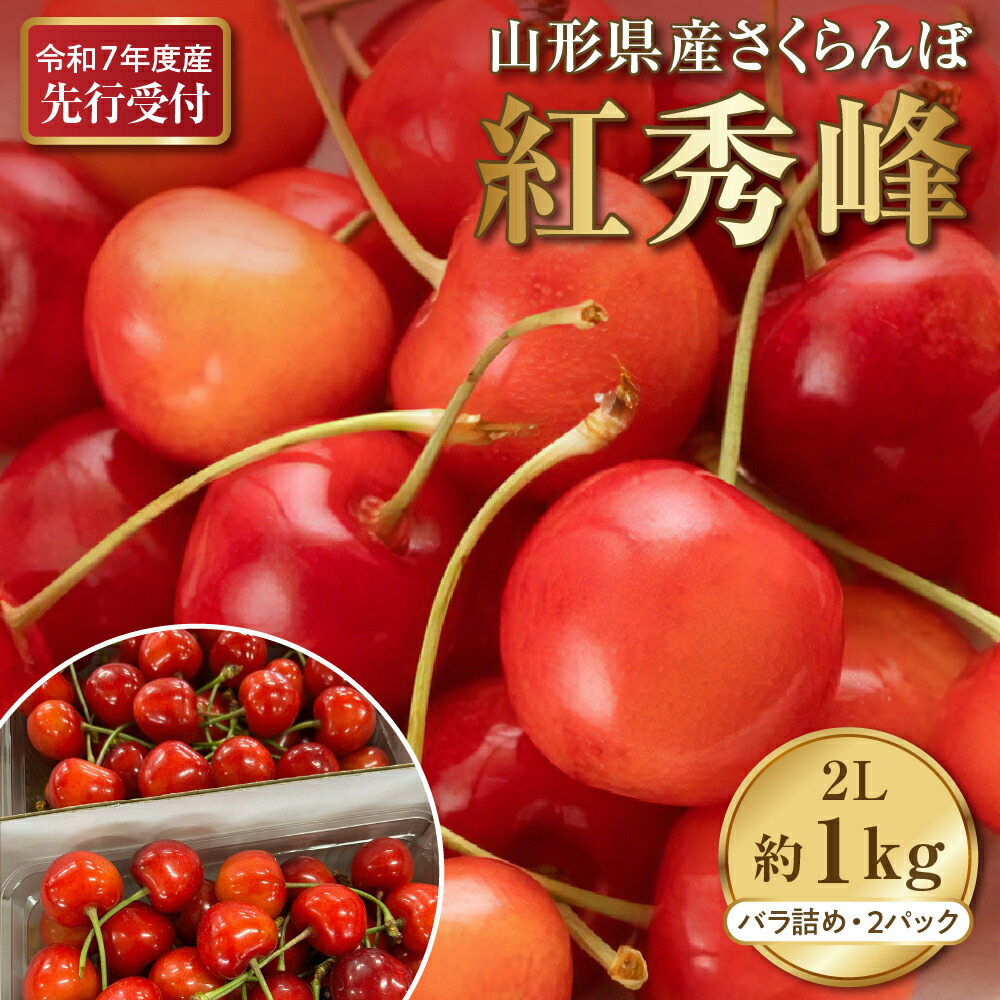 【ふるさと納税】【先行受付】令和7年産 さくらんぼ 紅秀峰 2L サイズ 1kg 以上 ( 500g バラ詰め × 2パック) 2025年発送 先行予約【晴天畑】<br><br>山形 果物 果実 フルーツ お取り寄せ 送料無料 産地直送 山形県 河北町