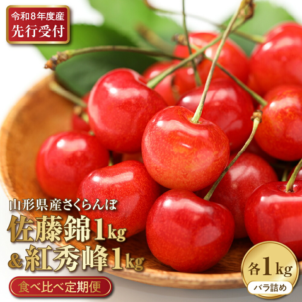 【ふるさと納税】【 2026年産 先行予約 】 さくらんぼ 食べ比べ 2回定期便 佐藤錦 と 紅秀峰 各 1kg 500g × 2 山形県河北町産 【晴天畑】 サクランボ 贈答 ギフト 秀品 令和8年産 送料無料 山形県 河北町 43,550円