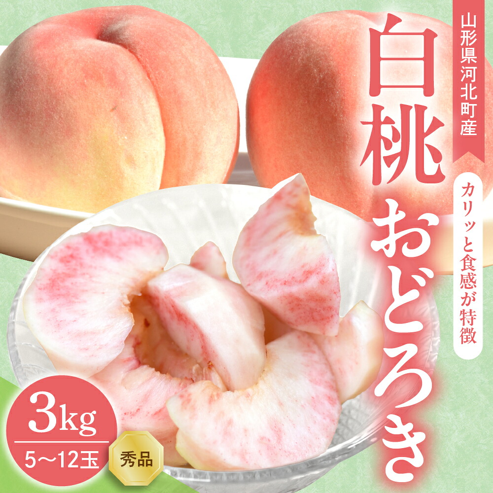 【ふるさと納税】【令和8年産】 白桃 おどろき 3kg ( 5～12玉前後 ) ギフト用 山形県河北町産 【山形eLab】| 桃 モモ もも フルーツ 果物 くだもの お取り寄せ グルメ 産地直送 山形県 河北町｜山形県河北町