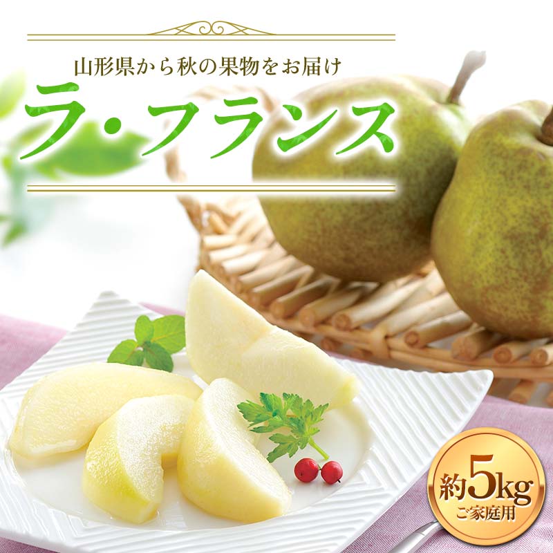 【ふるさと納税】 ≪2025年先行予約≫ご家庭用 山形県産 西洋梨 ラ・フランス 約5kg (12～20玉) 2025年11月上旬から順次発送 洋梨 洋なし ラフランス 秋果実 果物 くだもの フルーツ 訳あり 家庭用 自宅用 産地直送 山形県 西川町 月山 FYN6-057