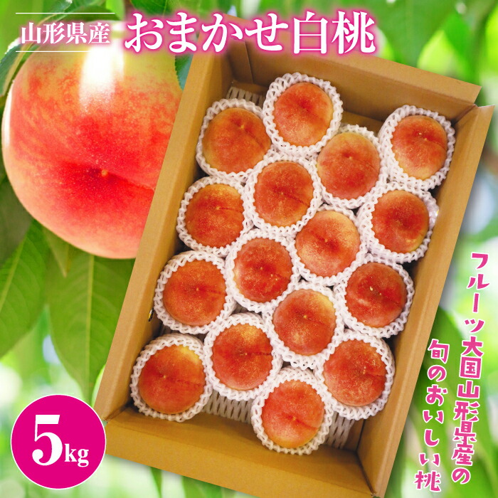【ふるさと納税】 《2025年先行予約》ご家庭用 山形県産 品種 おまかせ 白桃 5kg 2025年8月上旬から順次発送 夏果実 果実 果物 くだもの フルーツ 桃 もも ピーチ 家庭用 自宅用 訳あり 農業者 農家 支援品 産地直送 山形県 西川町 月山 FYN9-381