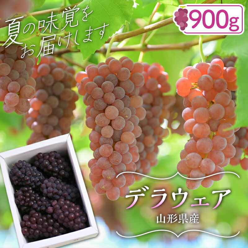 【ふるさと納税】 ≪2025年先行予約≫山形県産 デラウェア 900g(5～8 房)秀品 2025年8月上旬から順次発送 種無し 小粒 食べやすい ぶどう ブドウ 葡萄 くだもの 果物 フルーツ 夏果実 箱入り 中元 贈り物 ギフト 自宅 家庭 産地直送 山形県 西川町 月山 FYN9-918
