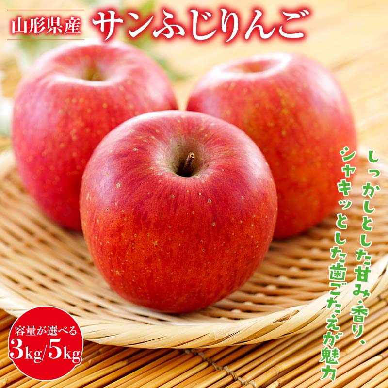 【ふるさと納税】 《2026年先行予約》 山形県産 サンふじりんご 《選べる容量》 3kg/5kg 2026年11月中旬から順次発送 林檎 りんご リンゴ 秋果実 果物 くだもの フルーツ 自宅用 産地直送 期間限定 山形県 西川町 月山 FYN9-945var