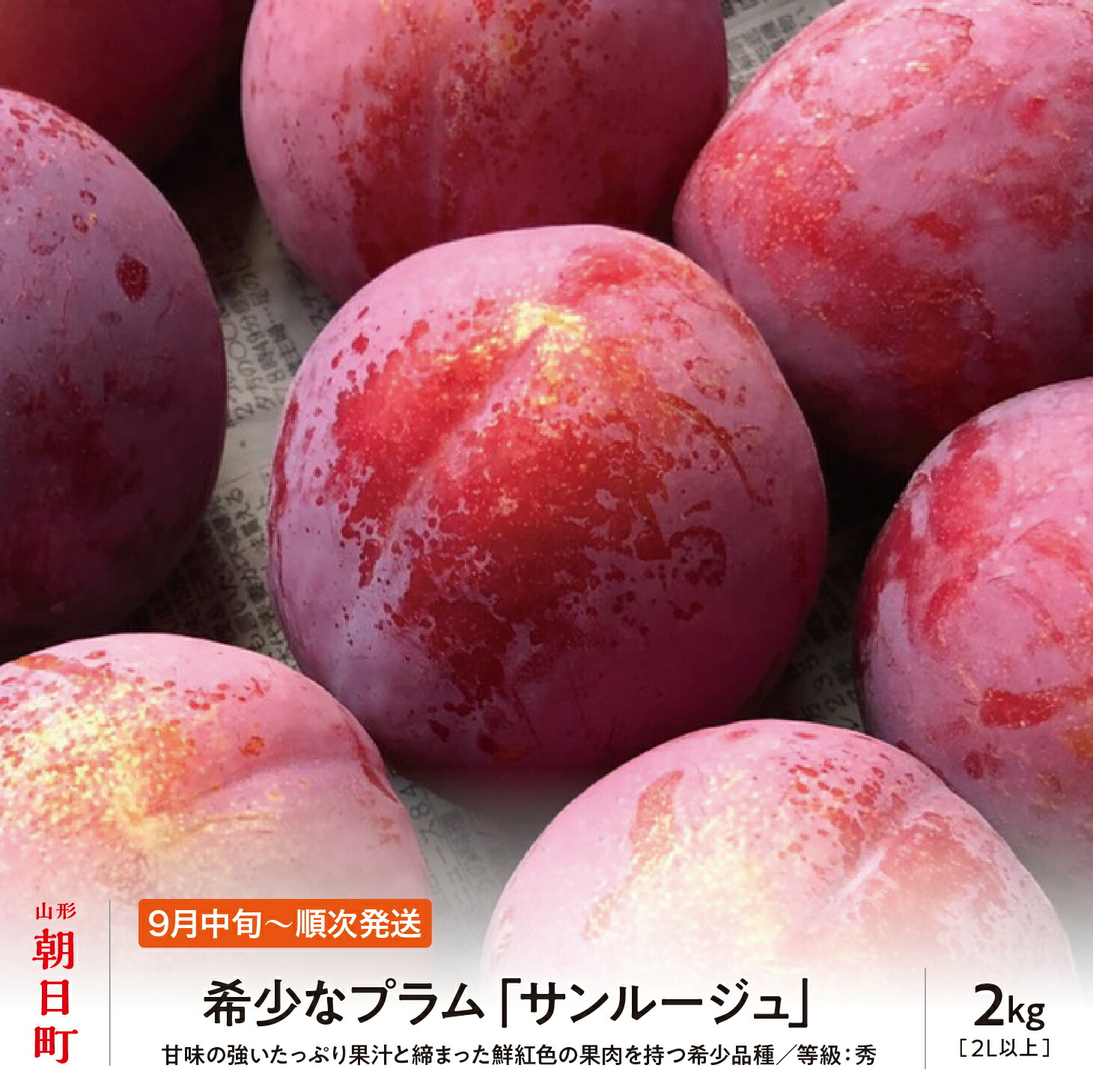 今が旬！農家直送プラムの王様"貴陽"2kg"(11玉〜12玉) | 果物/すもも・プラム 産直アウル  農家から直接野菜などの食材を購入できる産地直送の宅配通販サイト 信州産 プラム すもも 2kg #g