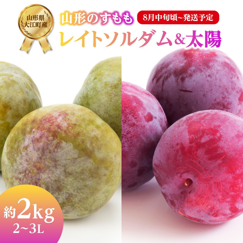 【ふるさと納税】《先行予約》すもも「レイトソルダム」「太陽」約2kg 2～3L【2025年8月中旬頃～発送予定】【山形プラム・大江町産】 産地直送 高糖度 冷蔵 数量限定 2L 3L 期間限定 果物 フルーツ