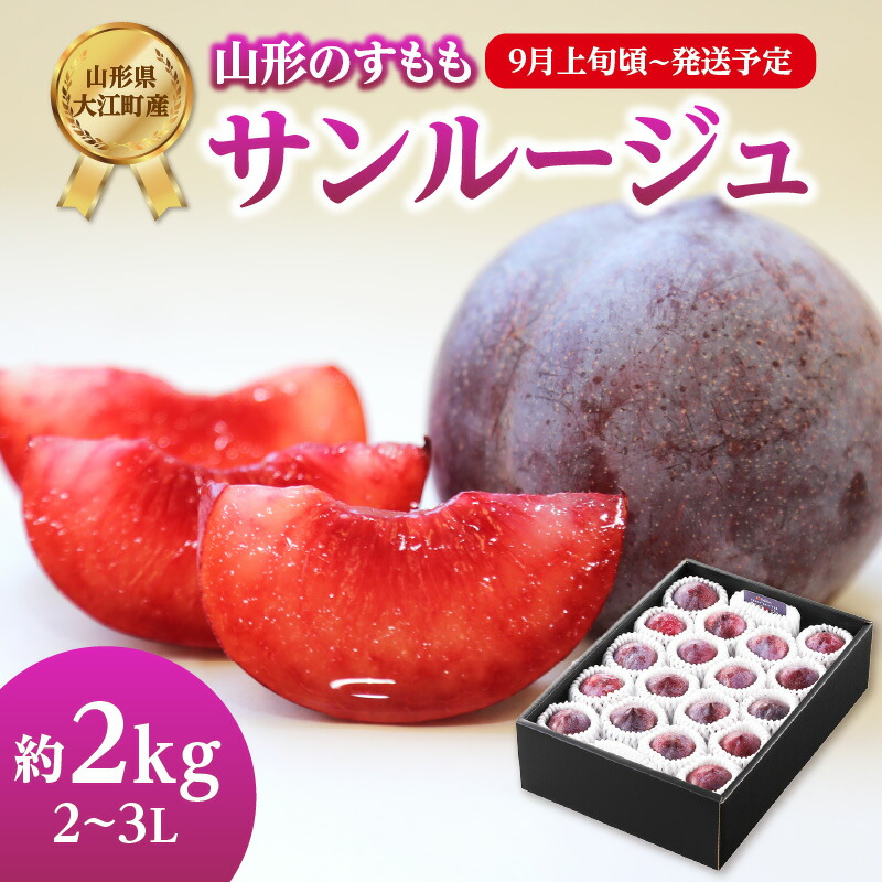 【ふるさと納税】《先行受付》すもも「サンルージュ」約2kg 2～3L【2025年9月上旬頃～発送予定】【山形プラム・大江町産】