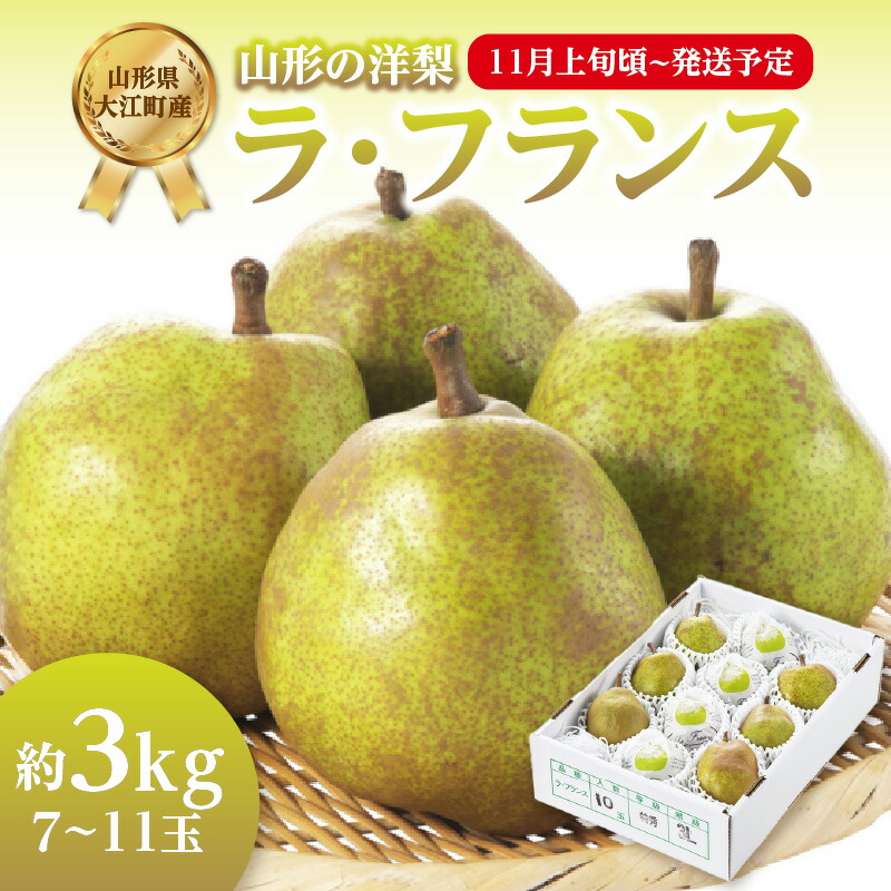 【ふるさと納税】《先行受付》ラ・フランス 約3kg(7～11玉)【2025年11月上旬頃～発送予定】 ラフランス 洋梨 洋なし 果物 フルーツ 【山形県産洋梨】