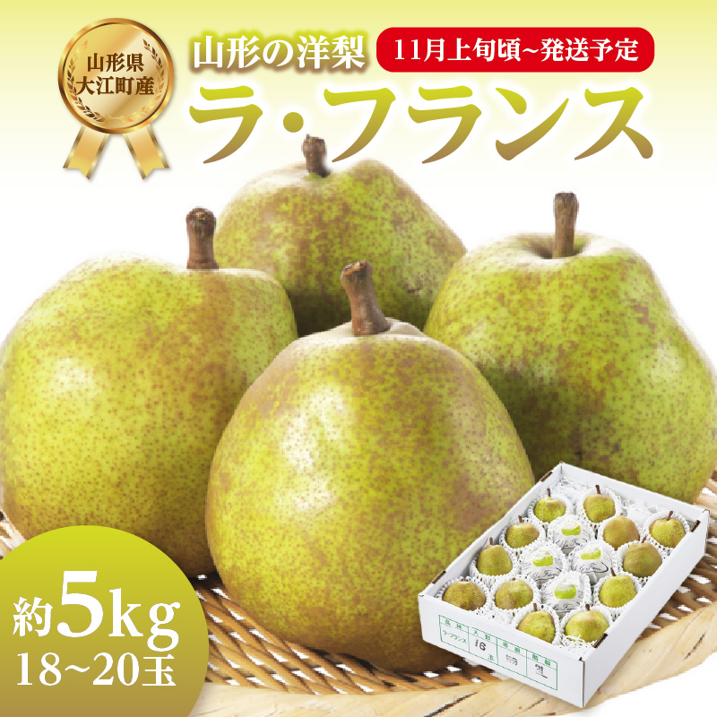 【ふるさと納税】《先行受付》ラ・フランス 約5kg(18～20玉)【2025年11月上旬頃～発送予定】 ラフランス 洋梨 洋なし 果物 フルーツ 【山形県産洋梨】