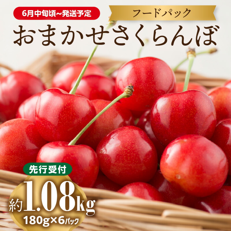 【ふるさと納税】 《先行受付》おまかせさくらんぼ フードパック 約1.08kg (180g×6)【2026年6月中旬頃～発送予定】【山形県産さくらんぼ】 16,790円