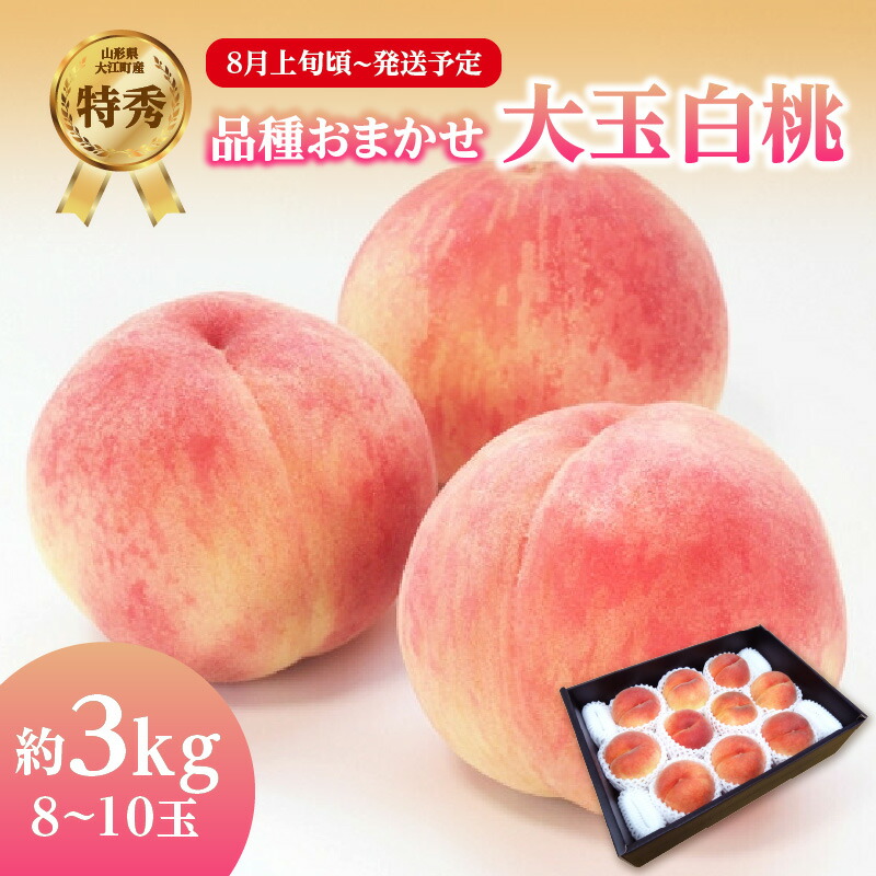 【ふるさと納税】 《先行受付》品種おまかせ 大玉白桃 約3kg【特秀】 （8～10玉）【2026年8月上旬頃～発送予定】｜山形県大江町