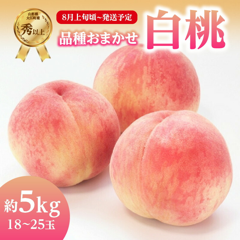 【ふるさと納税】《先行受付》品種おまかせ 白桃 約5kg【秀以上】 （18～25玉）【2025年8月上旬頃～発送予定】