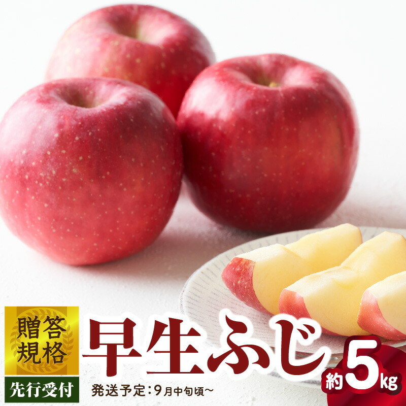 【ふるさと納税】《先行受付》贈答規格 早生ふじ約5kg（特秀～秀14～20玉）【2025年9月中旬頃～発送予定】大江町産 山形りんご りんご専科 清野 詰合せ リンゴ 林檎 フルーツ 果物 産地直送