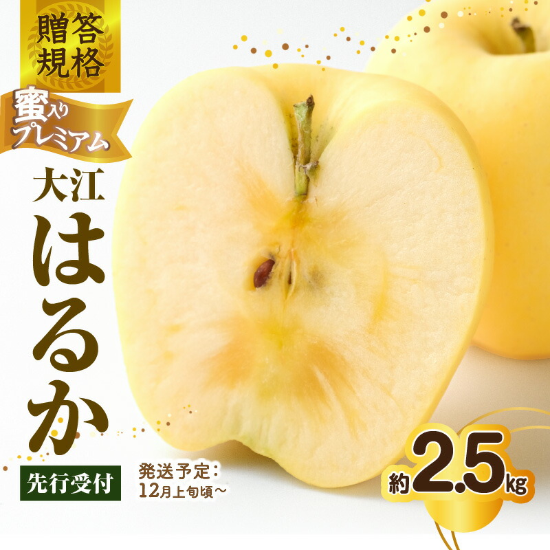 【ふるさと納税】《先行受付》贈答規格 蜜入りプレミアム大江はるか約2.5kg 特秀～秀【2025年12月上旬～発送予定】【大江町産・山形りんご・りんご専科 清野】 リンゴ 林檎 フルーツ 果物 産地直送