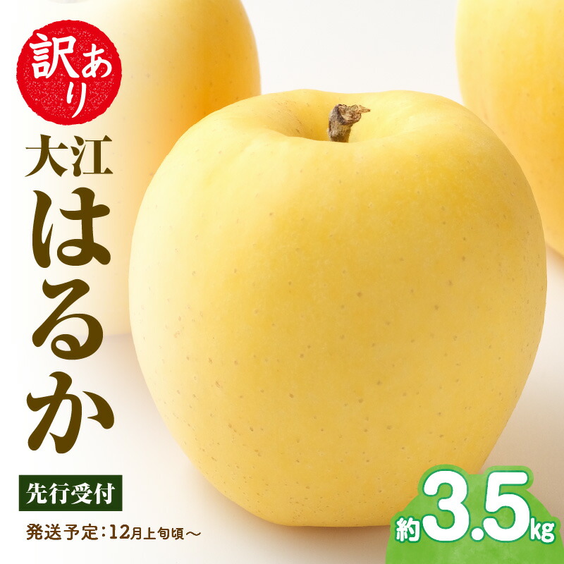 【ふるさと納税】《先行受付》訳あり 大江はるか約3.5kg【2025年12月上旬～発送予定】【大江町産・山形りんご・りんご専科 清野】 リンゴ 林檎 フルーツ 果物 産地直送