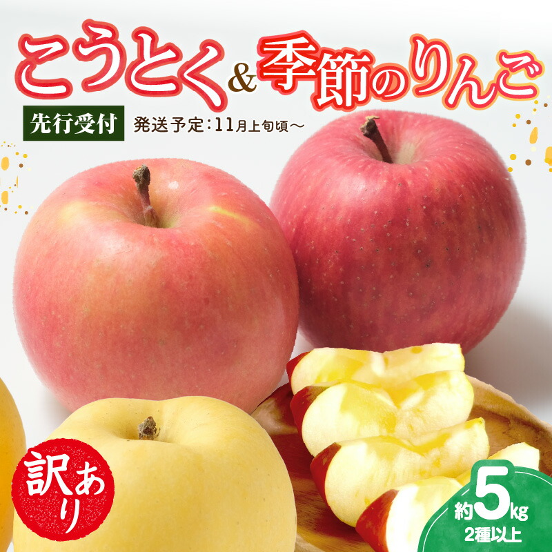 【ふるさと納税】《先行受付》訳ありこうとく＆季節のりんご詰合せ約5kg 2種以上【2025年11月上旬～発送予定】【大江町産・山形りんご・りんご専科 清野】 リンゴ 林檎 フルーツ 果物 産地直送