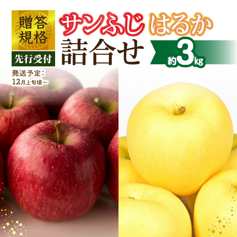 【ふるさと納税】《先行受付》贈答規格「サンふじ」「はるか」約3kg詰合せ（特秀～秀）【2025年12月上旬～発送予定】【大江町産・山形りんご・りんご専科 清野】 リンゴ 林檎 フルーツ 果物 産地直送