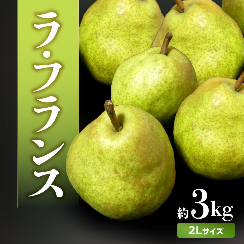 【ふるさと納税】《先行受付》ラ・フランス　約3kg（2Lサイズ　8～9玉） 【2025年11月1日以降～発送予定】