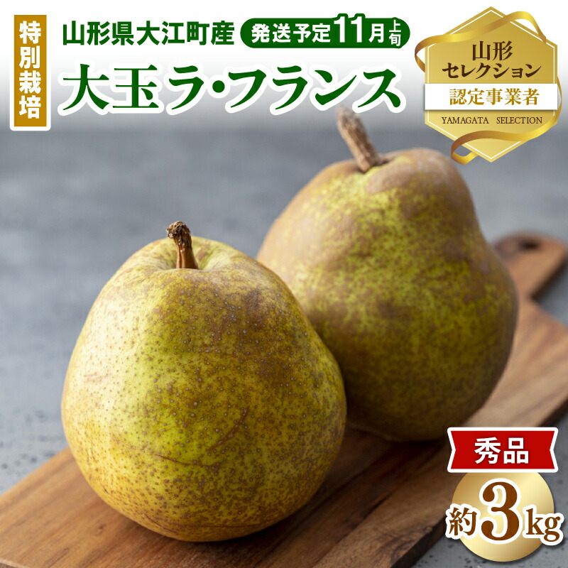 【ふるさと納税】《先行受付》特別栽培 大玉 ラ・フランス 約3kg・秀品4L～3L 【2025年11月上旬頃～発送予定】【糖度13度以上 ・山形セレクション認定品・山形洋梨・大江町産・鈴木果樹園】ラフランス 洋梨 洋なし 果物 フルーツ 産地直送