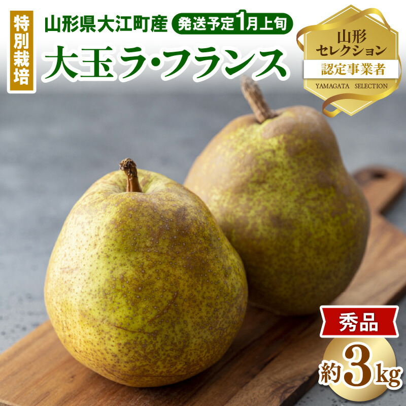 【ふるさと納税】《先行受付》特別栽培 大玉 ラ・フランス 約3kg・秀品4L～3L 【2026年1月より順次発送予定】【糖度13度以上 ・山形セレクション認定品・山形洋梨・大江町産・鈴木果樹園】ラフランス 洋梨 洋なし 果物 フルーツ 産地直送