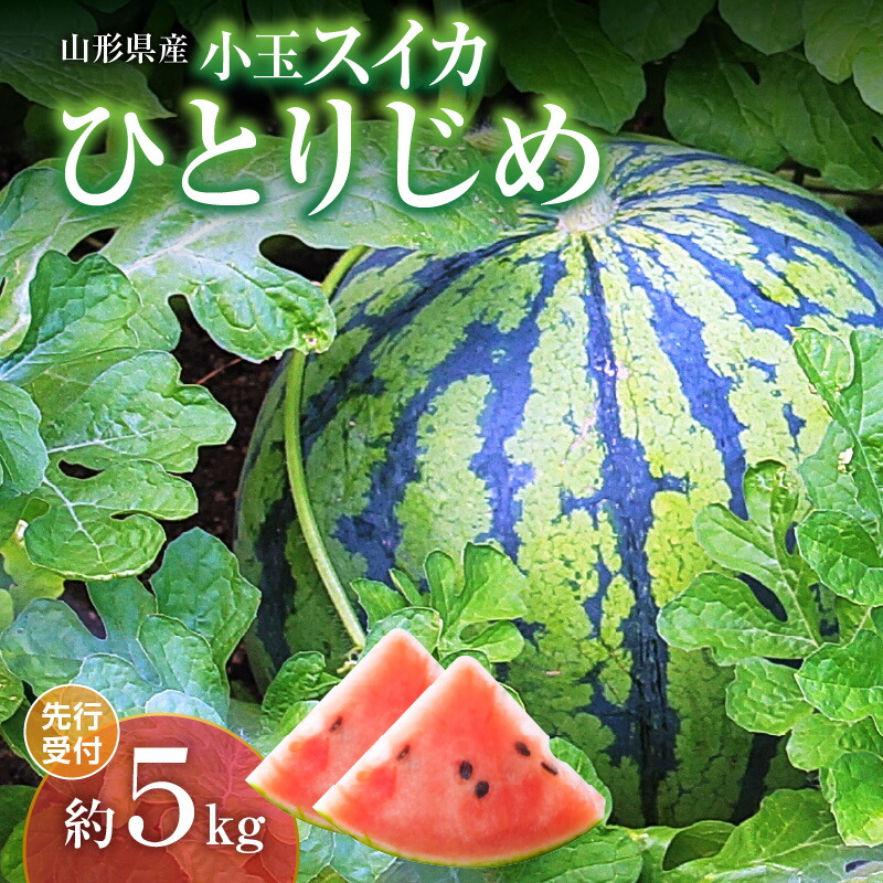 【ふるさと納税】《先行受付》小玉スイカ ひとりじめ 約5kg【2025年7月上旬頃～発送予定】【山形県産 西瓜】