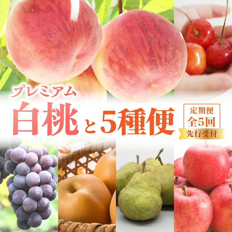 【ふるさと納税】《先行受付》プレミアム白桃と5種便【定期便全5回】 ふるさと納税 山形県 大江町 さくらんぼ プレミアム白桃 ピオーネ ラ・フランス サンふじ りんご 洋梨 フルーツ デザート 定期便｜山形県大江町