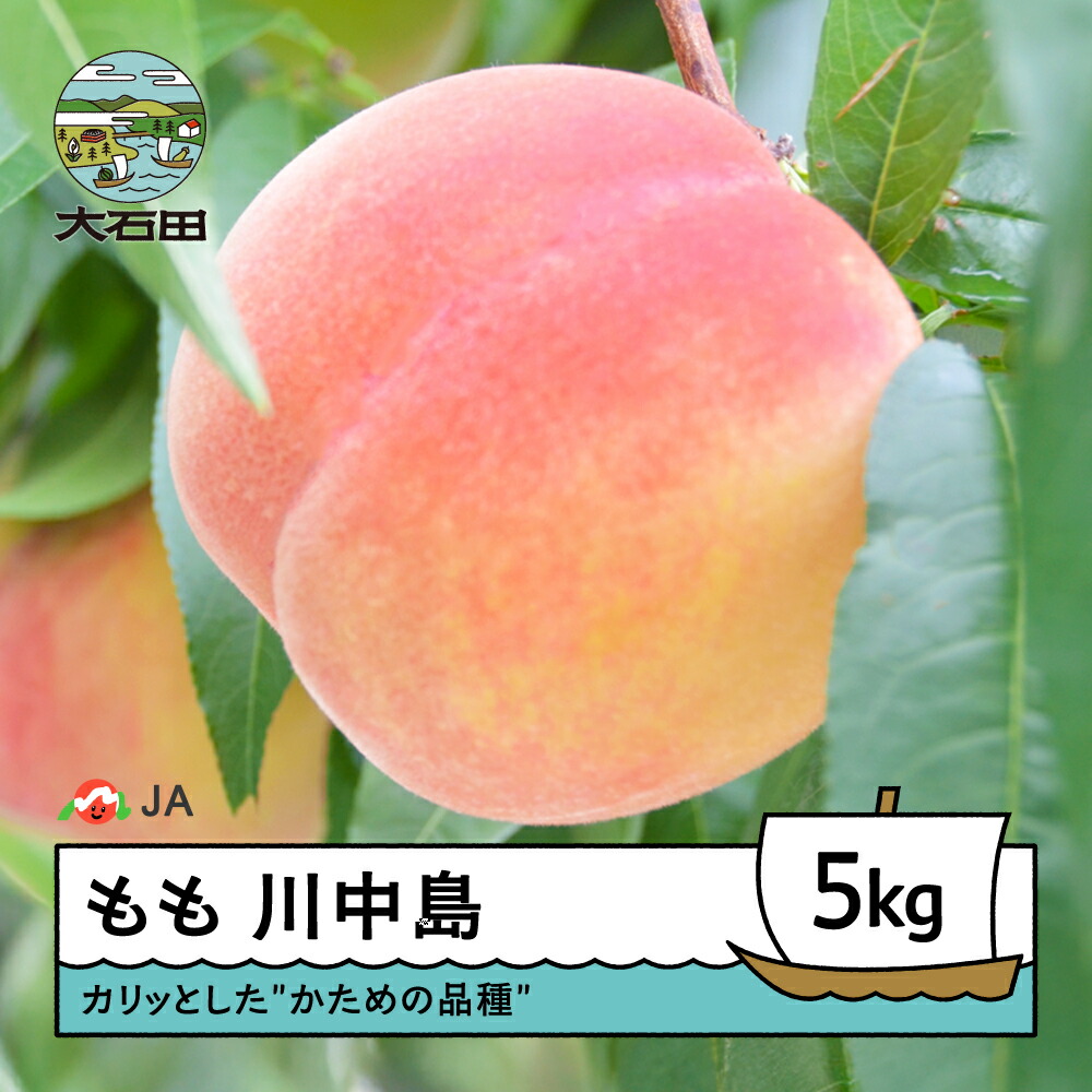 【ふるさと納税】【先行予約】もも 桃 川中島 約5kg 2026年産 令和8年産 果物 フルーツ 果樹 送料無料 ja-moknx5 ※沖縄・離島への配送不可|山形県大石田町