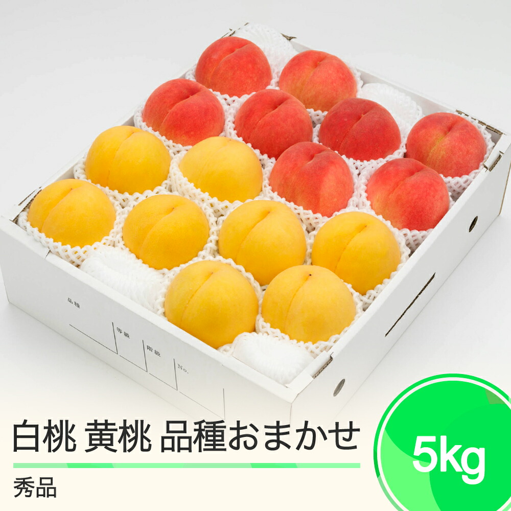 【ふるさと納税】もも 白桃 有袋黄桃 秀品 詰め合わせ 品種おまかせ 化粧箱入り 約5kg 2025年産 送料無料 フルーツ 果物 アソート大石田  ns-mohot5<br>※沖縄・離島への配送不可