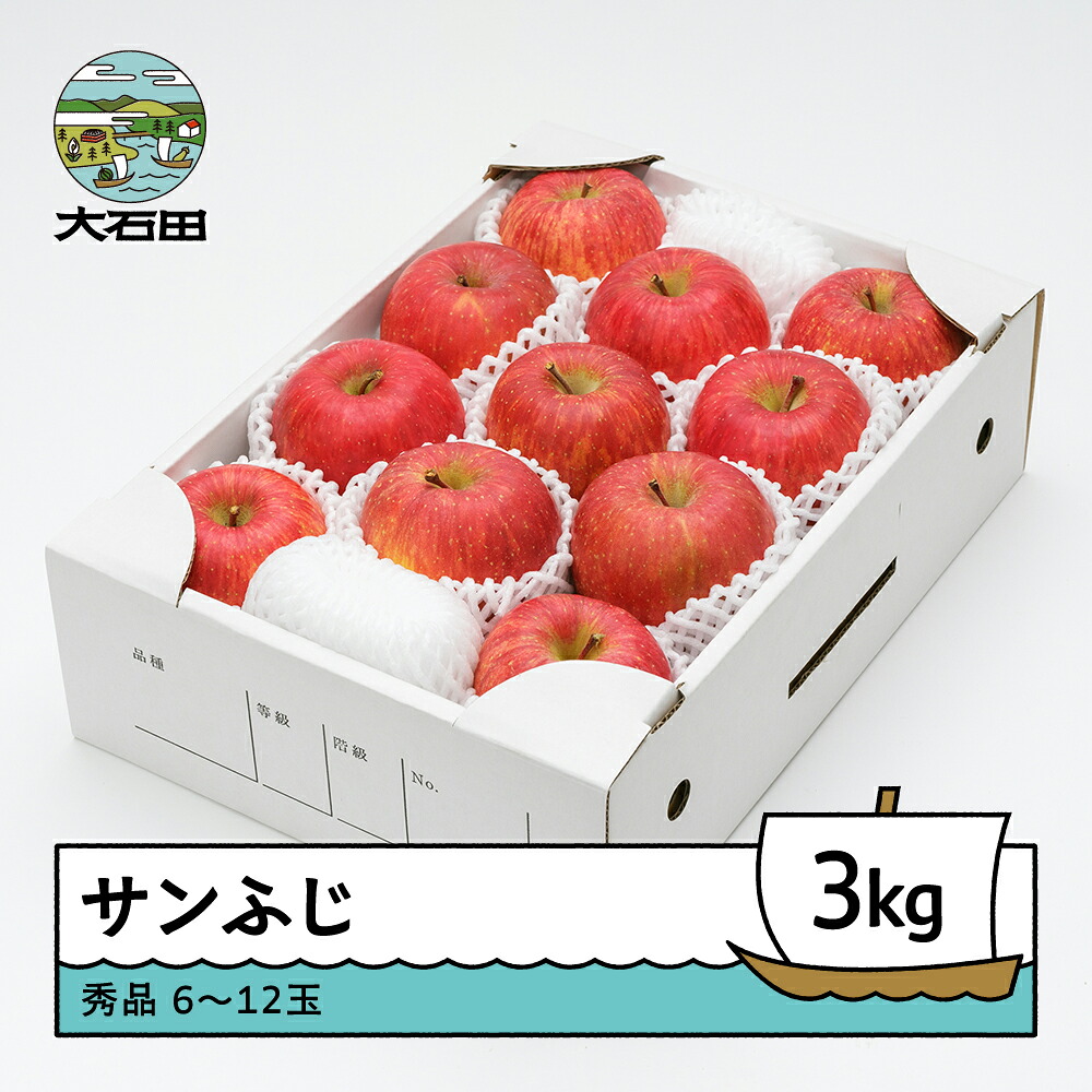 【ふるさと納税】 りんご サンふじ 約3kg 2026年産 令和8年産 フルーツ 果物 山形県 ns-risfx3