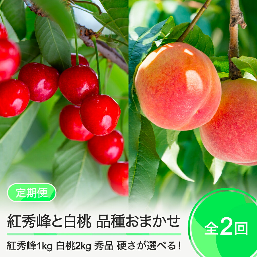 【ふるさと納税】【2回定期便】紅秀峰1kg×白桃2kg さくらんぼ 白桃 品種おまかせ 選べる定期便 山形県産 2025年度産 令和7年 フルーツ 果実 送料無料 ry-ft2bhx