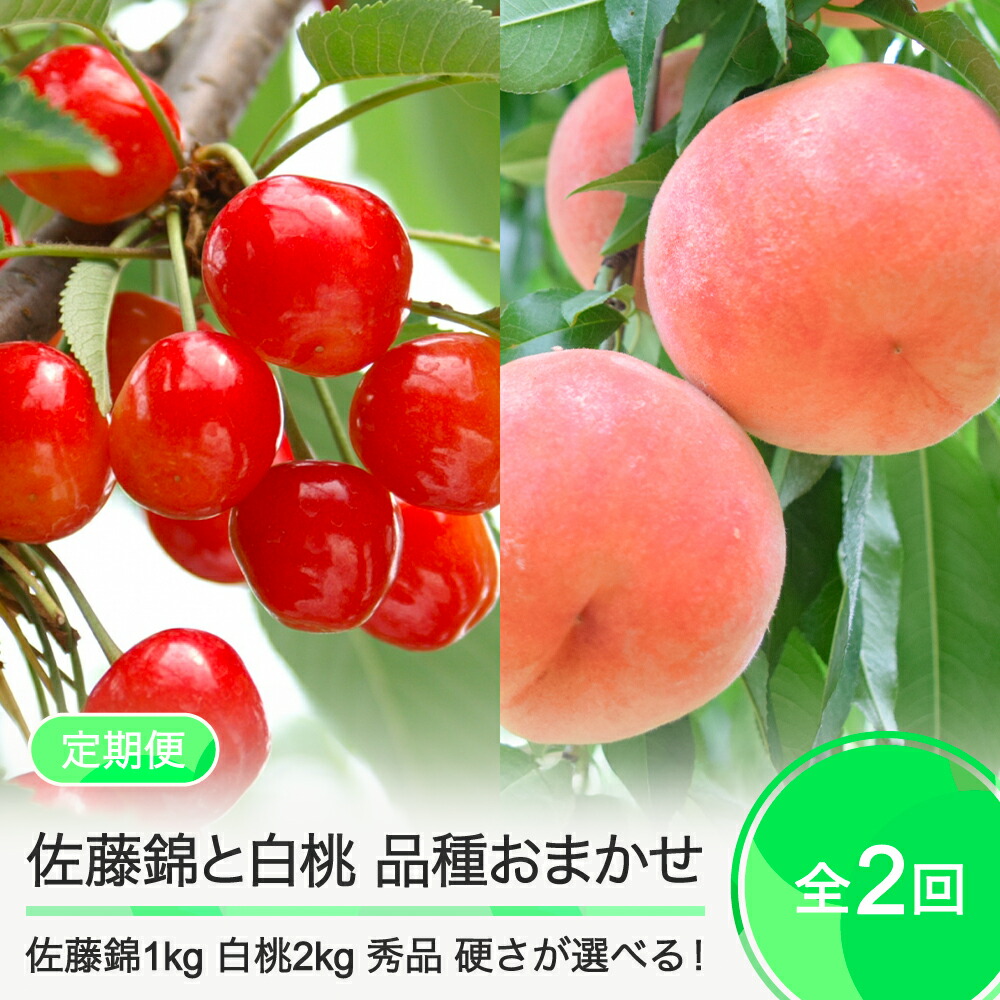 【ふるさと納税】【2回定期便】佐藤錦1kg×白桃2kg さくらんぼ 白桃 品種おまかせ 選べる定期便 山形県産 2025年度産 令和7年 フルーツ 果実 送料無料 ry-ft2shx