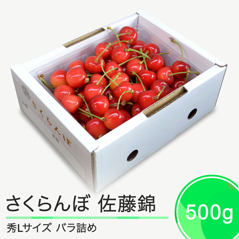 【ふるさと納税】さくらんぼ 佐藤錦 秀L 500g 2025年産 令和7年産 山形県産 ふるさと納税 果物 くだもの フルーツ 期間限定 冷蔵配送 先行受付 グルメ 取り寄せ ご当地 特産 産地 直送 送料無料 東北 山形県 人気 ry-snslb500