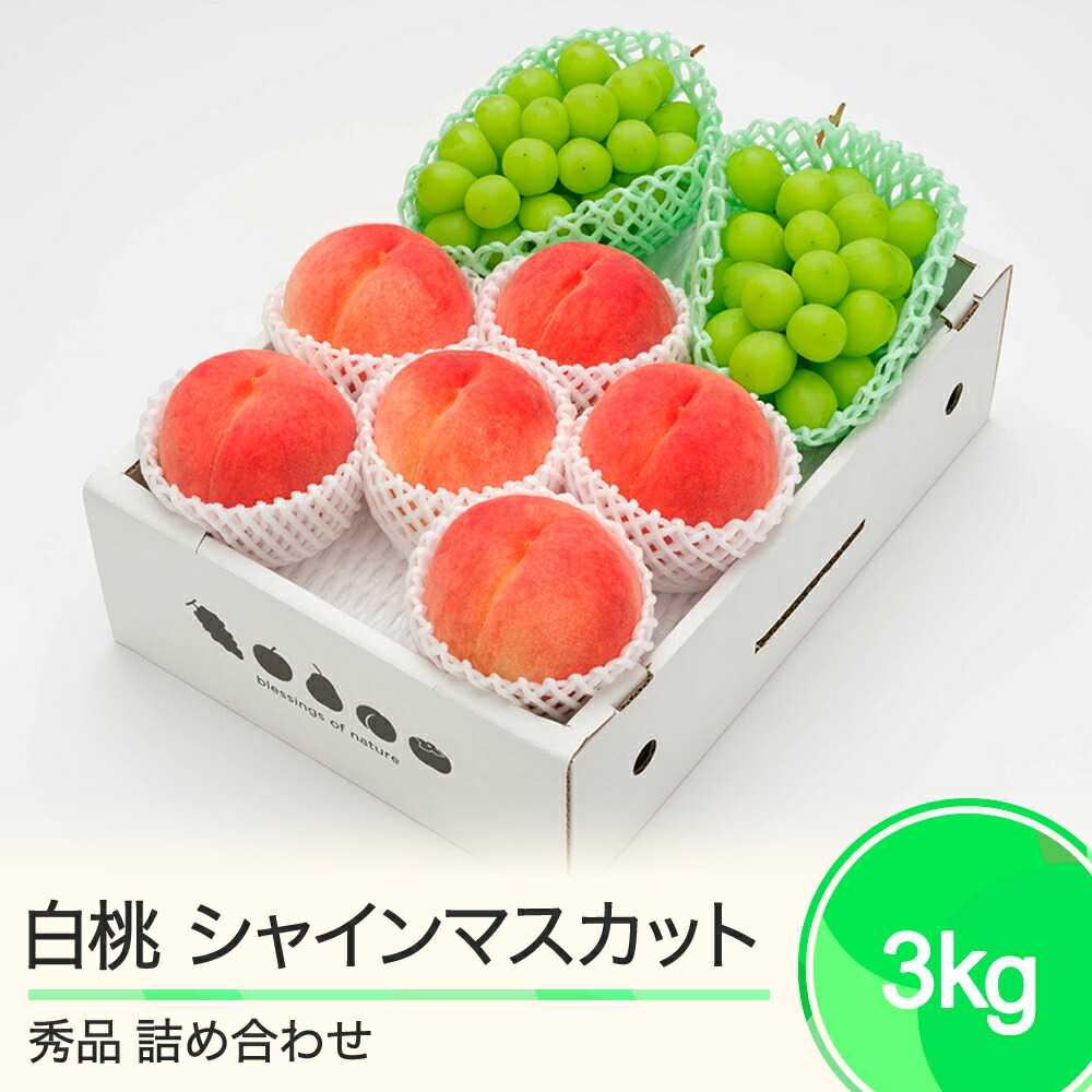 【ふるさと納税】先行予約 白桃秀品＆シャインマスカット 品種おまかせ 詰め合わせ 約3kg 2025年産 送料無料 フルーツ 果物 大石田  ns-fshsx3<br>※沖縄・離島への配送不可