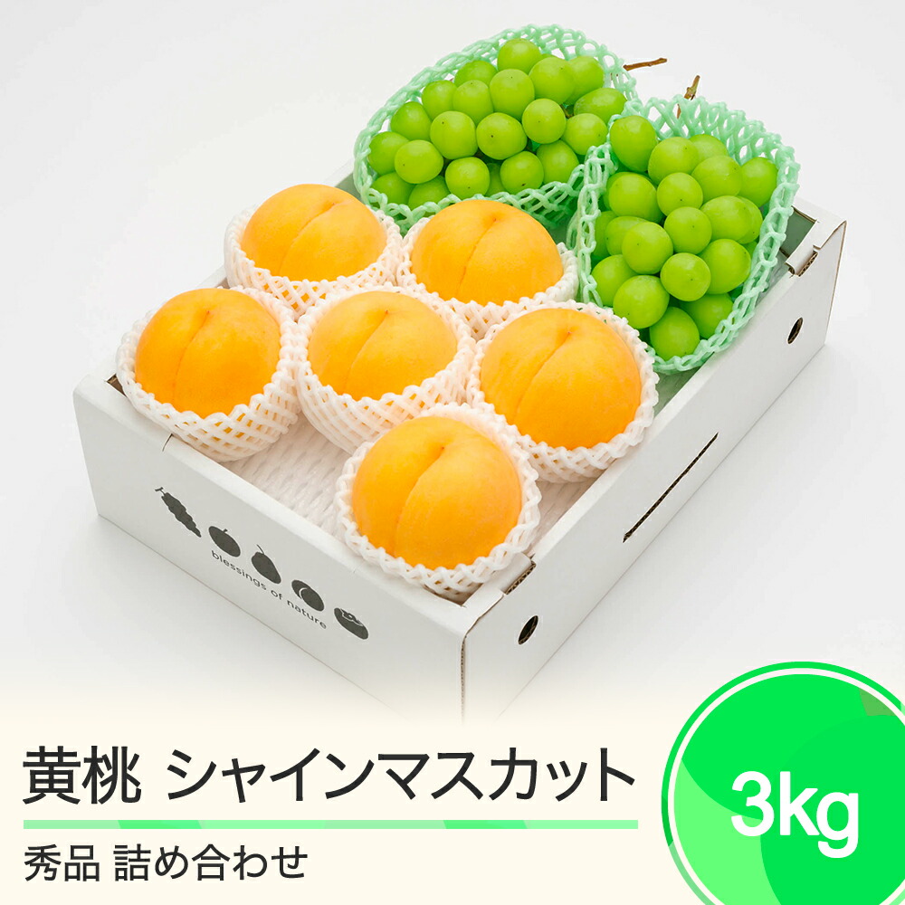 【ふるさと納税】有袋黄桃 秀品＆シャインマスカット 品種おまかせ 詰め合わせ 約3kg 2025年産 送料無料 フルーツ 果物  大石田 ns-fsosx3<br>※沖縄・離島への配送不可