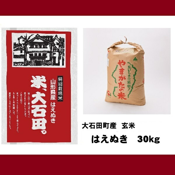 ふるさと納税 米飯 先押える 命令ハーモニー3年造る はえぬき30kg 大石田集落産 異様育生米 玄米 貨物輸送無料 Marchesoni Com Br