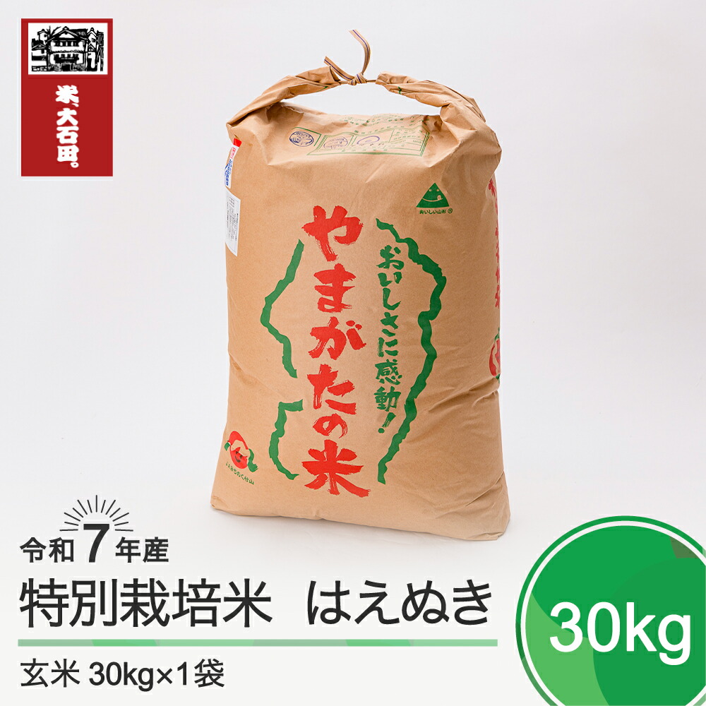 【ふるさと納税】 新米 米 令和7年産 はえぬき 30kg 大石田町産 特別栽培米 玄米 送料無料 大石田<br>※沖縄・離島への配送不可 ja-hagxa30