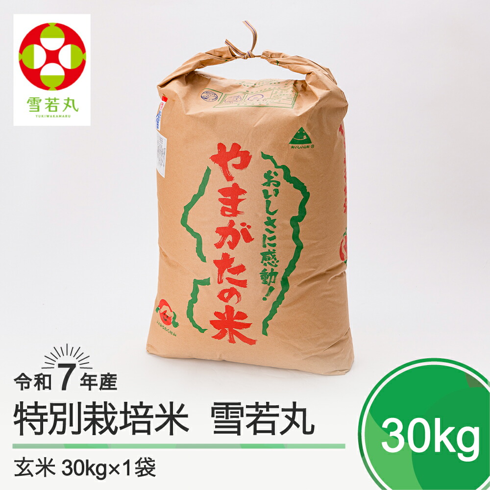 【ふるさと納税】 新米 米 令和7年産 雪若丸 30kg 大石田町産 特別栽培米 玄米  大石田 送料無料<br>※沖縄・離島への配送不可 ja-yugxa30