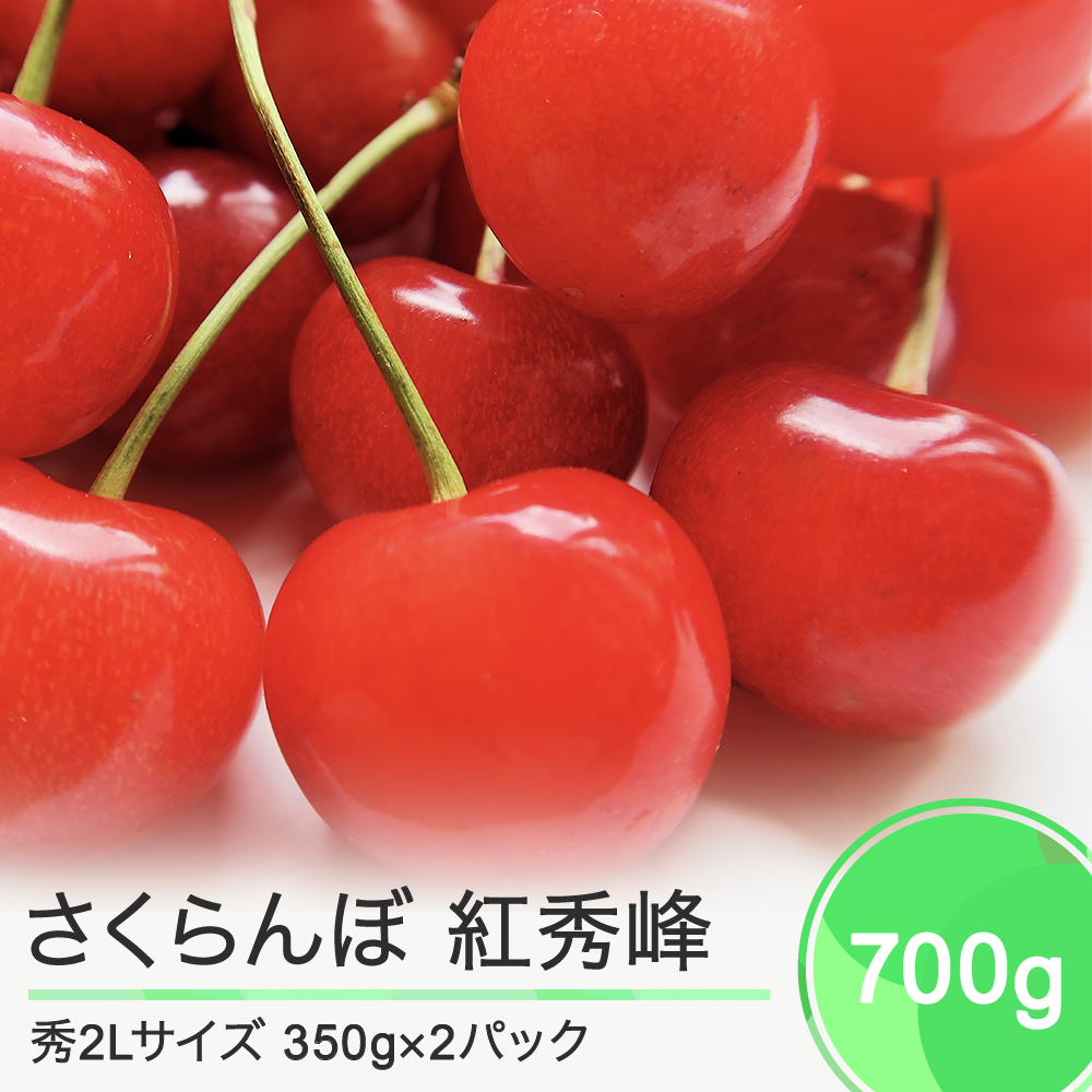 訳あり商品 早朝もぎたて❗️山形県東根市産さくらんぼ 佐藤錦700g