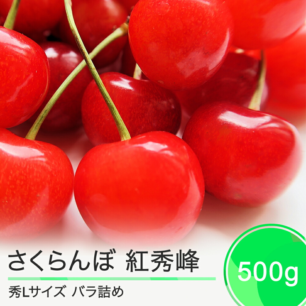 【ふるさと納税】 さくらんぼ 紅秀峰 6月下旬～7月上旬発送 秀Lサイズ 500g バラ詰め 2025年産 山形県産 送料無料 サクランボ ns-bsslb500
