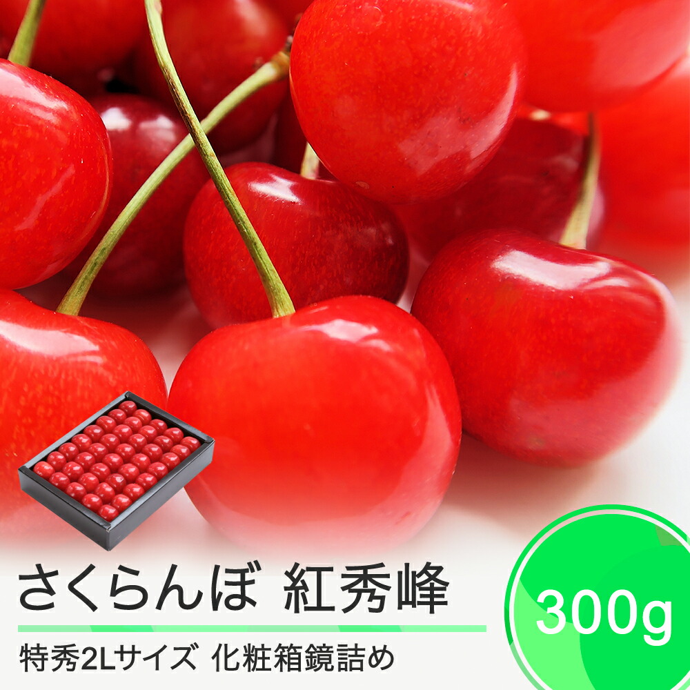 【ふるさと納税】 さくらんぼ 紅秀峰 6月下旬～7月上旬発送 特秀2Lサイズ 300g プレゼント ギフト 化粧箱鏡詰め 2025年産 山形県産 送料無料 サクランボ ns-bst2x300