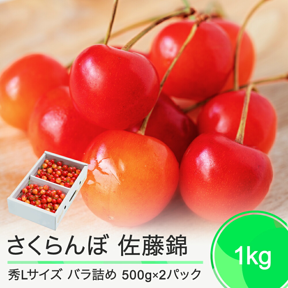 【ふるさと納税】 さくらんぼ 佐藤錦 6月中旬～下旬発送 秀Lサイズ プレゼント ギフト バラ詰め 1kg(500g×2パック) 2025年産 山形県産 送料無料 サクランボ