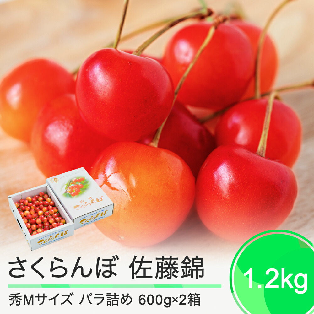 【ふるさと納税】 さくらんぼ 佐藤錦 6月中旬～下旬発送 秀Mサイズ  バラ詰め 1.2kg(600g×2箱) 2025年産 山形県産 送料無料 サクランボ